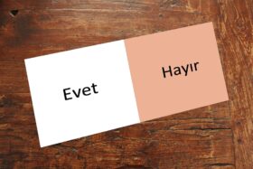 “HAYIR” (2017) VE “EVET” (2023)